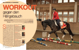 Mein Pferd Pressebild