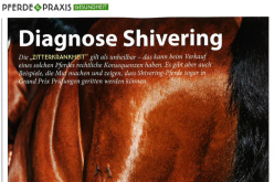St. Georg Pferde und Praxis Pressebild