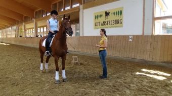 Kurs- und Unterrichtssituation mit Pferd